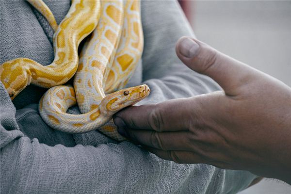 wildlife